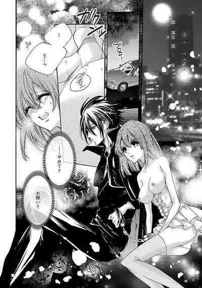 鬼畜兄弟の悶絶調教~私はいいなり奴隷~